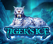 Tiger`s Ice